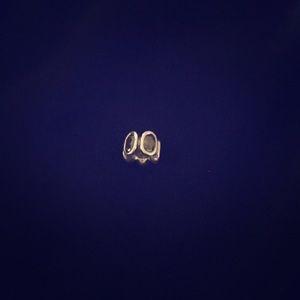 Authentic Pandora Charm